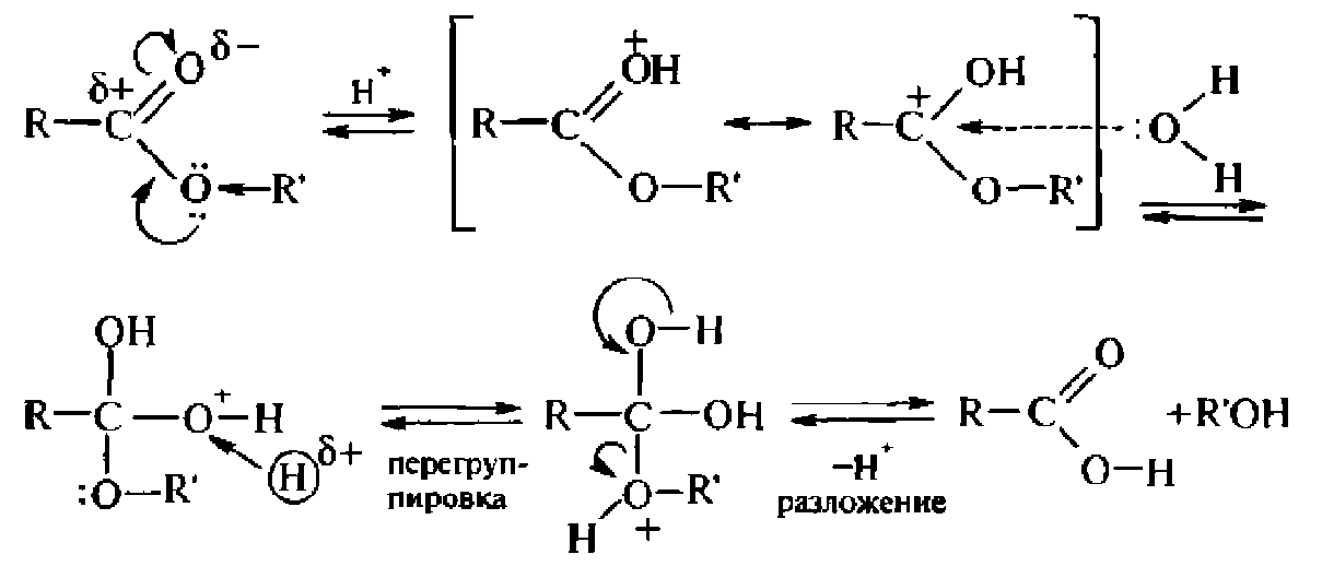 Щелочной гидролиз этилацетата реакция